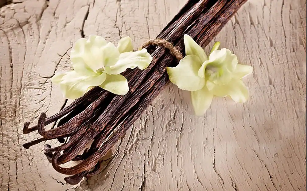 Vanilla beans and flowers tied into a bundle on a wood background.